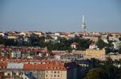 DSC_1126.JPG - 